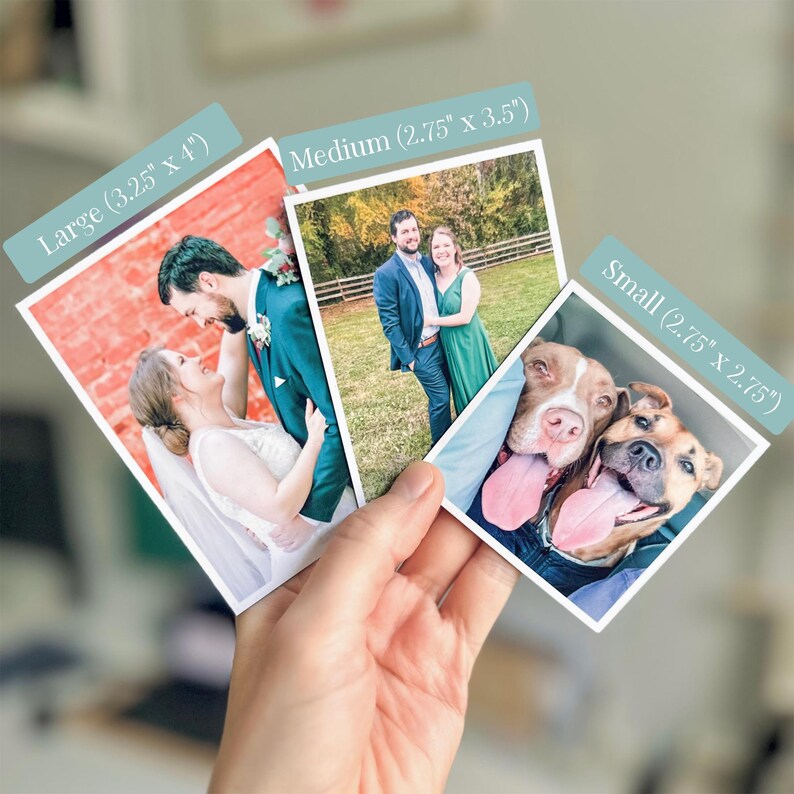 Pu&ograve; includere: Tre stampe fotografiche quadrate e rettangolari con dimensioni: Large (8,25 cm x 10,16 cm), Medium (6,98 cm x 8,89 cm) e Small (6,98 cm x 6,98 cm). Le foto ritraggono una coppia di sposi, una coppia in un campo e due cani con la lingua.