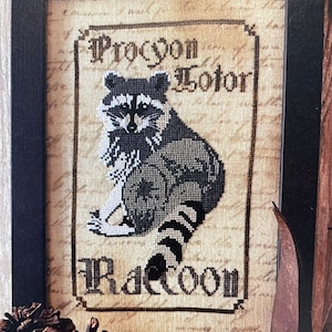 Spirit of the Woods Series: THE RACCOON by The Primitive Hare / cross stitch chart / counted cross stitch