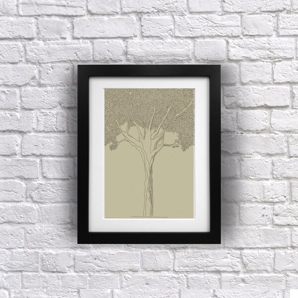 Dromen Tree - DMB, Dave Matthews Band afdrukken