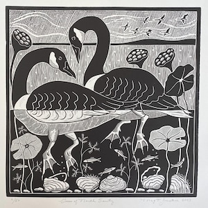 Geese of north Sauty linocut in black,Canadian Geese blockprint, handprinted water bird Art, mussels and lily pads,nature linocut