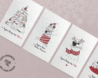 Chats | Cartes de Noël à semer | Cartes de Noël à planter | Lot de 4 petites cartes de Noël | Papier ensemencé de fleurs sauvages