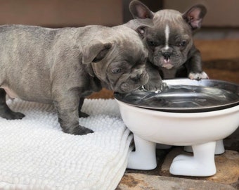 Large Elevated Dog Bowl Ceramic *Explorers Collection* NEW removable Stainless Steel liner!