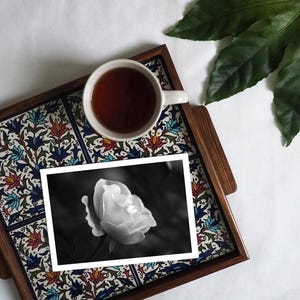 Tarjeta de felicitación en blanco con rosas de verano, papelería de jardín, tarjeta con sobre de la ciudad de las rosas, tarjeta de notas de bellas artes, tarjeta con fotografía artesanal, Portland