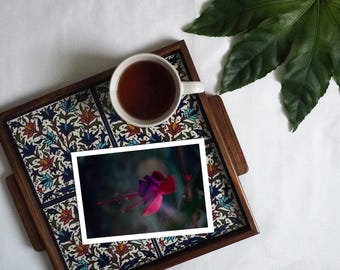 Tarjeta de felicitación floral fucsia: Tarjeta botánica de bellas artes