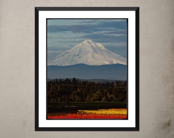 Impresión fotográfica de la granja de tulipanes de Mt Hood: decoración de pared de bellas artes de Oregón
