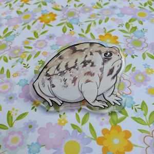 May include: A white and brown frog with a textured skin, sitting on a white background with a floral pattern.