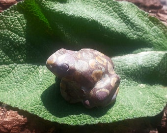 Frosch im grünen Diaspro von Obst