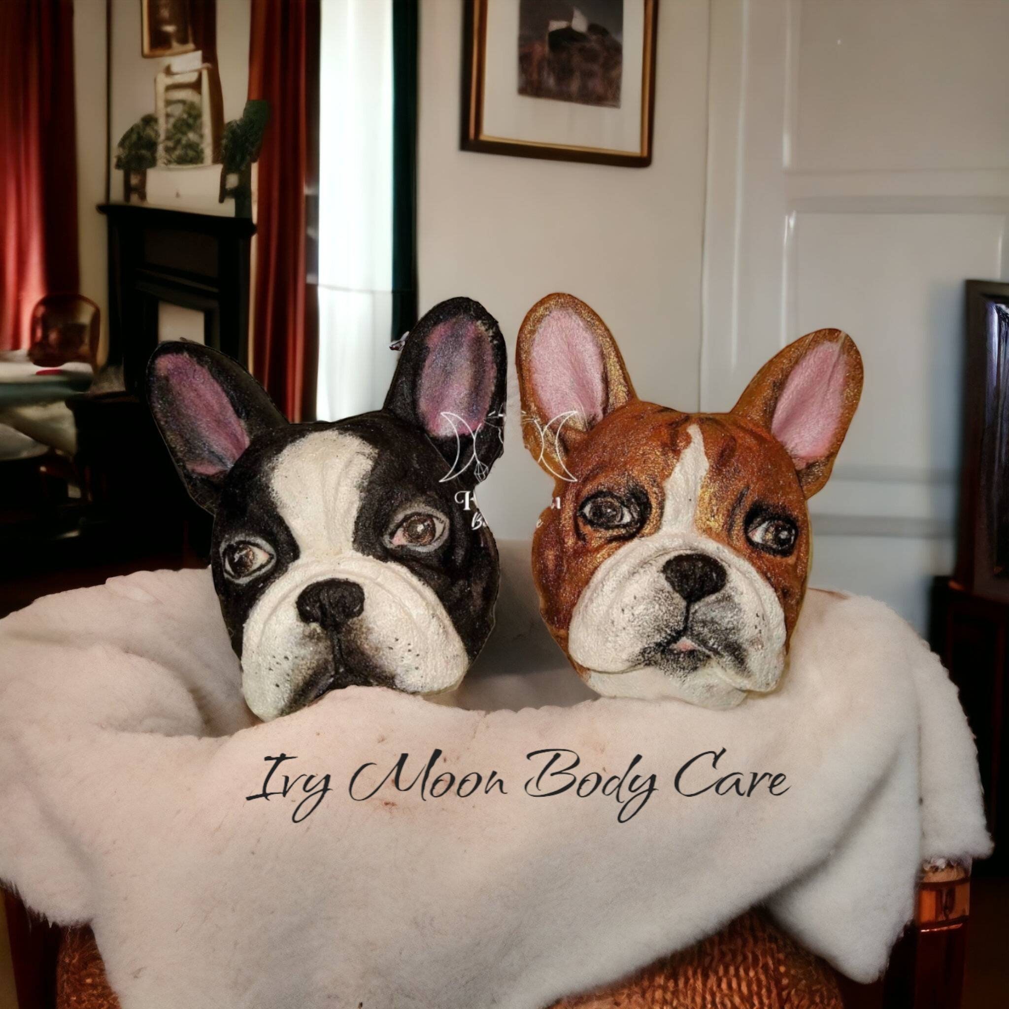 How To Bathe A Boston Terrier