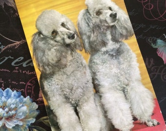 Vintage Squeaker Novelty Postcard, French Poodles