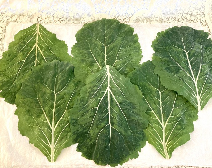 Cabbage Leaf Placemats, Faux Cabbage Leaf Table Decor, Set of 6 Placemats Etsy