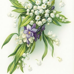 May include: A botanical illustration of a bouquet featuring white lily of the valley flowers and green leaves. A cluster of purple and white violets is nestled among the lilies. The artwork is set against a white background.