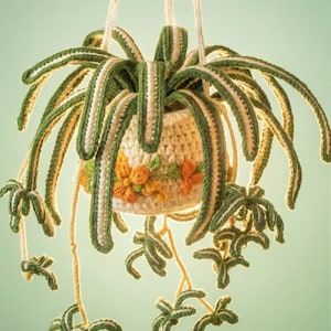 Crochet Exotic Spider Plant Hanging Gardens ~ Arching Leaves ~ Basket