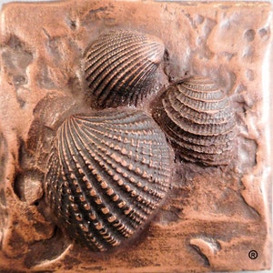 Może przedstawiać: Trzy szczegółowe muszle w kolorze miedzi są wytłoczone na kwadratowej płytce w kolorze miedzi. Płytka ma fakturowaną powierzchnię.