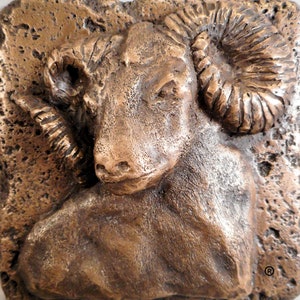Könnte beinhalten: Eine Bronzeskulptur eines Widderkopfes mit detaillierten Hörnern. Die Skulptur ist auf einer rauen, strukturierten Oberfläche montiert.