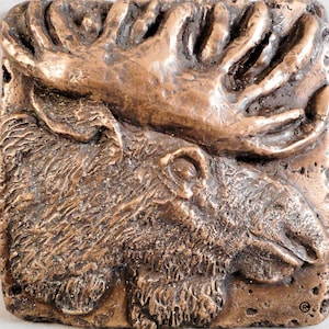 May include: A bronze-colored moose head sculpture with a detailed textured surface. The moose's antlers are raised and spread out, and its face is turned to the side. The sculpture is mounted on a rough, textured background.