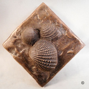 May include: A bronze plaque with three raised, detailed, shell impressions. The plaque is a square with rounded corners.