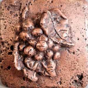May include: A copper-colored metal plaque with a raised design of a grapevine with leaves and grapes. The plaque has a rough, textured surface.