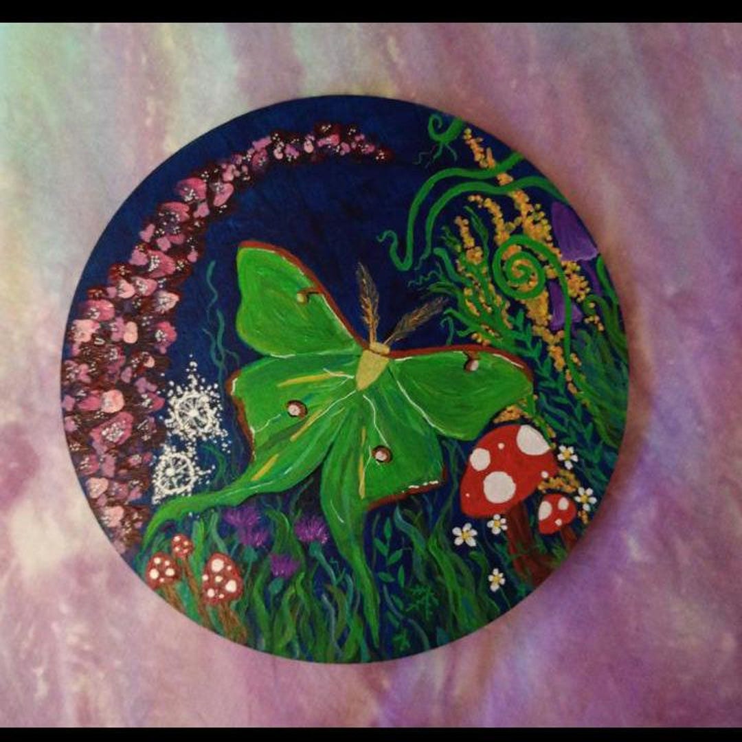 Luna Moth Painting on Wood - Etsy