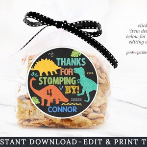 Dinosaur Favor Tags, Dinosaur Favor Stickers, Dinosaur Tag, Dinosaur Sticker, Dinosaur Birthday Favor | 662