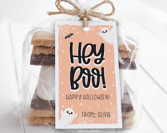 May include: A clear cellophane bag tied with twine, containing graham crackers, chocolate, and marshmallows. A peach-colored tag with the words "Hey Boo! Happy Halloween!" and a ghost illustration is attached.