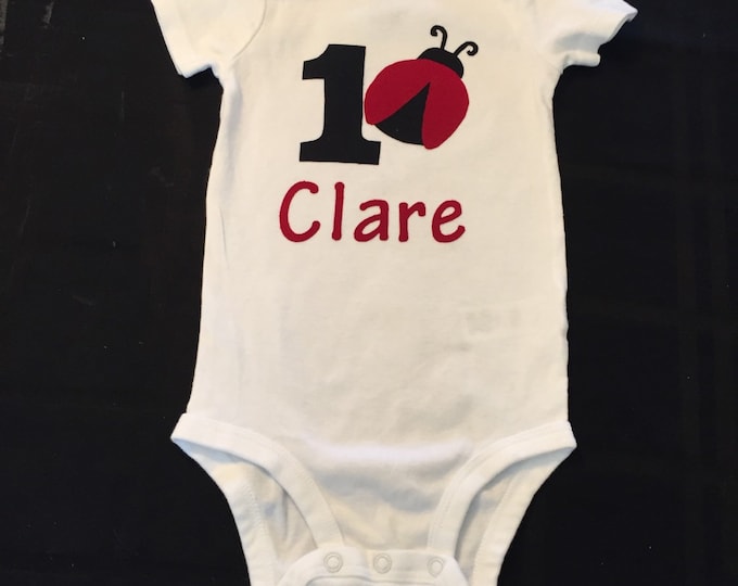 1st Birthday Ladybug outfit personalized with name!