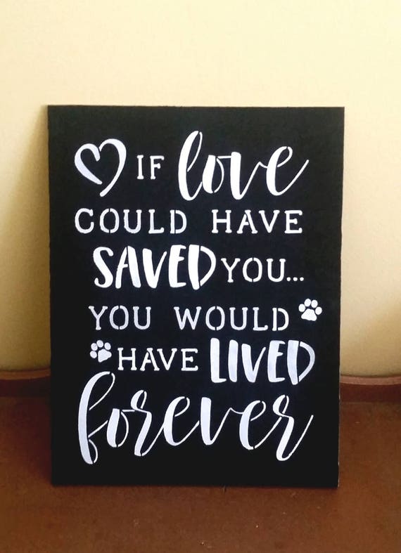 if love could have saved you dog