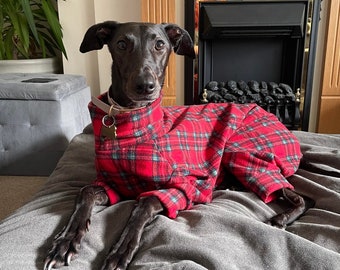 Könnte beinhalten: Ein schwarzer Hund, der einen rot-schwarz karierten Overall trägt, liegt auf einer grauen Decke. Der Hund hat ein Halsband und einen Anhänger. Der Hintergrund umfasst einen Kamin und eine Pflanze.