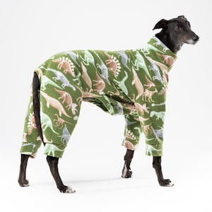 NEW 23/24 design 4 leg Dino pattern Pijamas
