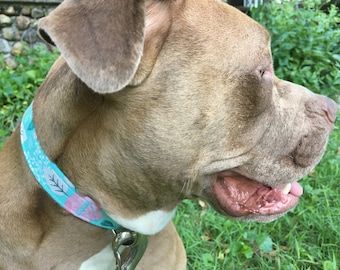 May include: A brown and white dog with a light blue and pink floral patterned collar. The dog is looking to the right and has its mouth slightly open.