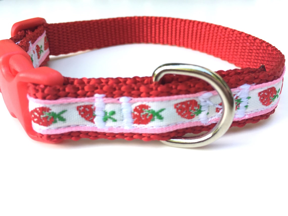 Strawberry Dog Collar Red Pink Extra Small 12 Inch Dog Etsy