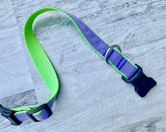 Blue Stripe Dog Collar: Bright Green Nylon, Medium Size