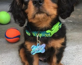 Neon Zebra Print Dog Collar: Extra Small, 12 inch, Handmade