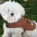 see more listings in the Dog Coats section