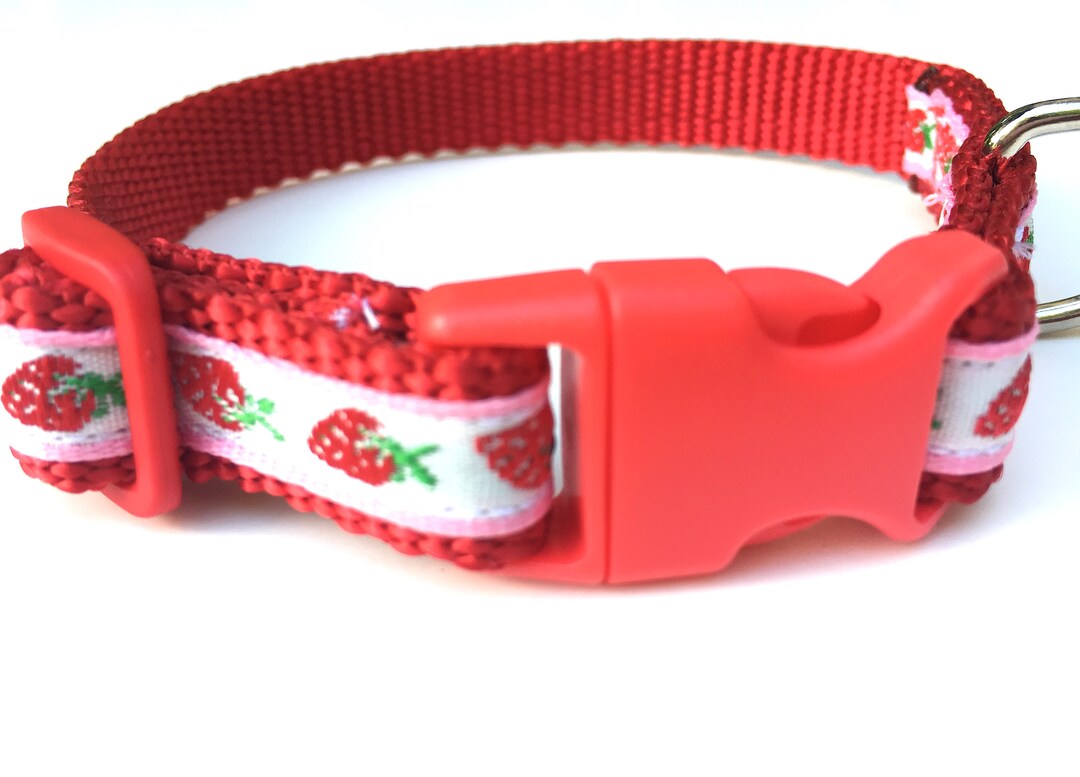 Strawberry Dog Collar Extra Small Red 5/8ths Nylon Etsy