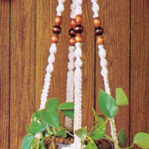 Puede incluir: Un macramé blanco para colgar plantas con cuentas de madera marrón y un borla blanca. Una planta en maceta con hojas verdes cuelga del macramé.