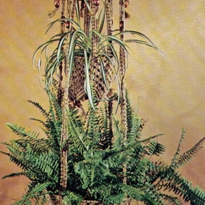 May include: A macrame plant hanger with two tiers, featuring a brown and beige color scheme. The hanger is decorated with small brown beads and has a long tassel. The hanger is holding two plants, a fern and a spider plant.