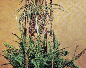 May include: A macrame plant hanger with two tiers, featuring a brown and beige colour scheme. The hanger is decorated with small brown beads and has a long tassel. The hanger is holding two plants, a fern and a spider plant.