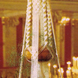Puede incluir: Un macetero de macramé blanco con una maceta marrón y una planta verde en su interior. El macetero está hecho de cuerdas anudadas y tiene un diseño decorativo.