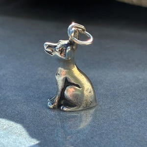 Puede incluir: Un peque&ntilde;o dije plateado con forma de perro sentado. El dije tiene un lazo en la parte superior para sujetarlo a un collar o pulsera. El perro est&aacute; detallado con rasgos visibles.