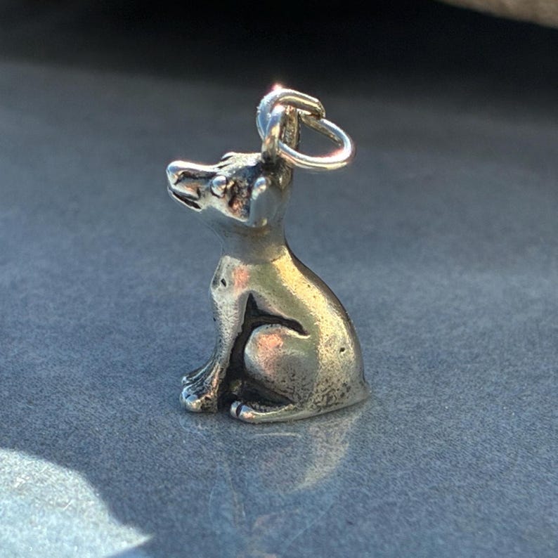 Puede incluir: Un peque&ntilde;o dije plateado con forma de perro sentado. El dije tiene un lazo en la parte superior para sujetarlo a un collar o pulsera. El perro est&aacute; detallado con rasgos visibles.
