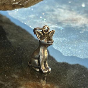 Puede incluir: Un charm de perro de color plateado en posici&oacute;n sentada. El charm tiene un lazo en la parte superior para sujetarlo a un collar o pulsera. El perro tiene orejas puntiagudas y una cola peque&ntilde;a. El charm es de metal brillante y muy detallado.