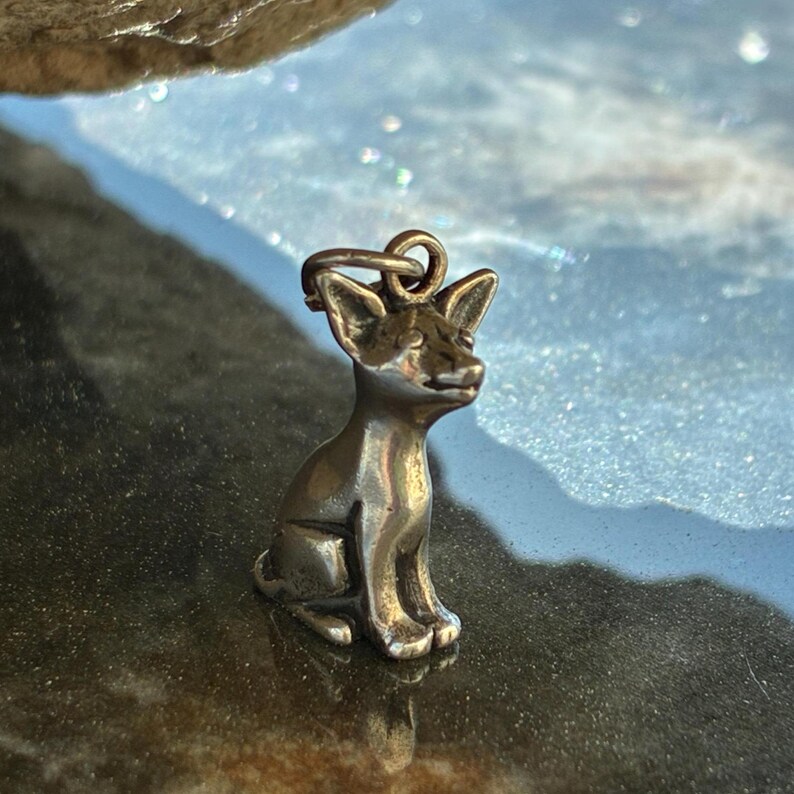 Puede incluir: Un charm de perro de color plateado en posici&oacute;n sentada. El charm tiene un lazo en la parte superior para sujetarlo a un collar o pulsera. El perro tiene orejas puntiagudas y una cola peque&ntilde;a. El charm es de metal brillante y muy detallado.