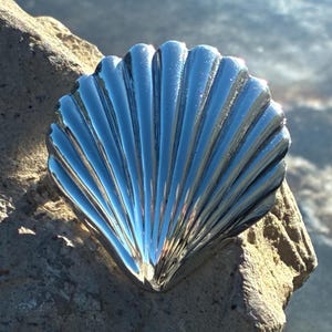 Puede incluir: Un objeto brillante en forma de concha, de color plateado. La concha tiene una textura acanalada y descansa sobre una piedra rugosa de color claro. La concha refleja el entorno, creando una superficie brillante y reflectante.
