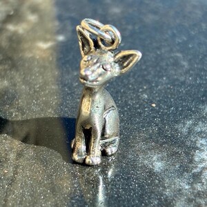Puede incluir: Un peque&ntilde;o dije de gato plateado con orejas grandes y un lazo para sujetarlo a un collar o pulsera. El gato est&aacute; sentado, con las patas delanteras visibles. El dije tiene una superficie detallada y texturizada.