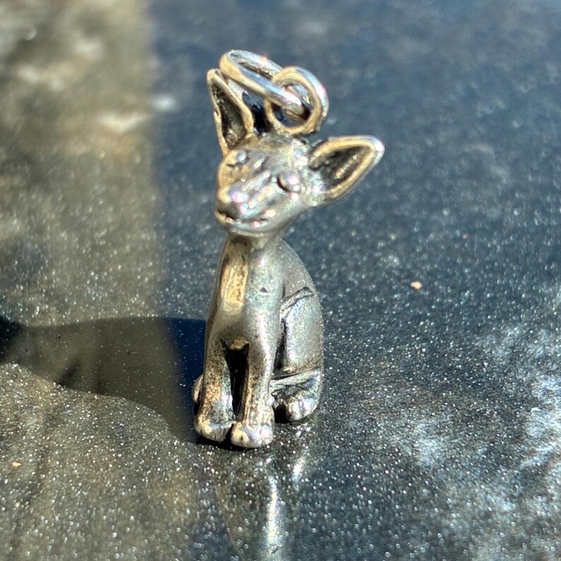 Puede incluir: Un peque&ntilde;o dije de gato plateado con orejas grandes y un lazo para sujetarlo a un collar o pulsera. El gato est&aacute; sentado, con las patas delanteras visibles. El dije tiene una superficie detallada y texturizada.