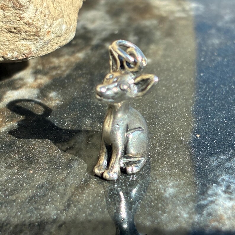 Puede incluir: Un colgante plateado con forma de perro peque&ntilde;o, con orejas grandes y postura sentada. El colgante tiene un lazo en la parte superior para una cadena. La sombra del perro es visible en la superficie oscura y reflectante.