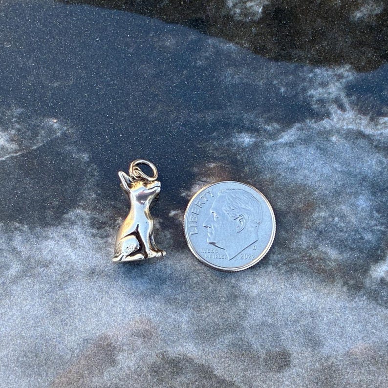 Puede incluir: Un peque&ntilde;o dije de color plateado con forma de perro, sentado erguido. Junto al dije hay una moneda de diez centavos estadounidense. El dije tiene un lazo en la parte superior para sujetarlo a un collar o pulsera. La moneda est&aacute; fechada en 2022.
