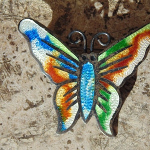 May include: A silver butterfly brooch with colorful enamel detailing. The wings are decorated with green, blue, red, and white enamel. The butterfly is a popular motif in jewelry.