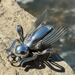 May include: A silver insect brooch with detailed wings and body segments. The brooch is made of polished metal, reflecting light. The insect has a rounded head and a detailed, textured wing design. The brooch is a unique piece of jewellery.
