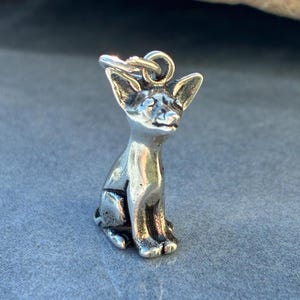Puede incluir: Un charm de plata con forma de gato sentado, con orejas grandes. El charm tiene un lazo en la parte superior para sujetarlo a un collar o pulsera. El gato est&aacute; detallado con patas y rasgos faciales visibles.